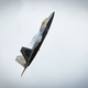 Illustration for article titled Play Fight: Lightning II, Raptor, Rafale, and Typhoon Compete For An Atlantic Trident